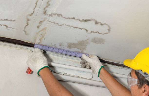 Reliable Mold Remediation contractor in Hewitt, NJ by Water Damage Irwin